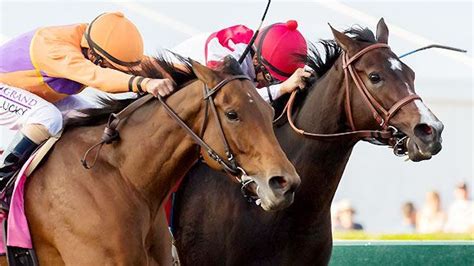 horse racing commentary